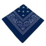 Unisex Men Women Cotton Bandana Hairband Cowboy Mens Biker Sports Headwear Wrist Hairwrap Double Sided Head Wrap Scarf Paisley - THE PLACE TO BE !!