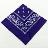 Unisex Men Women Cotton Bandana Hairband Cowboy Mens Biker Sports Headwear Wrist Hairwrap Double Sided Head Wrap Scarf Paisley - THE PLACE TO BE !!
