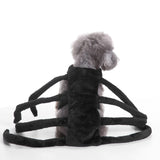 Pet Dogs Clothes Halloween Funny Spider Transfiguration Dog Cats Coats Dogs Jackets Sets Size S-L - THE PLACE TO BE !!