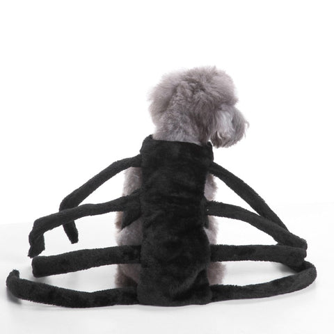 Pet Dogs Clothes Halloween Funny Spider Transfiguration Dog Cats Coats Dogs Jackets Sets Size S-L - THE PLACE TO BE !!
